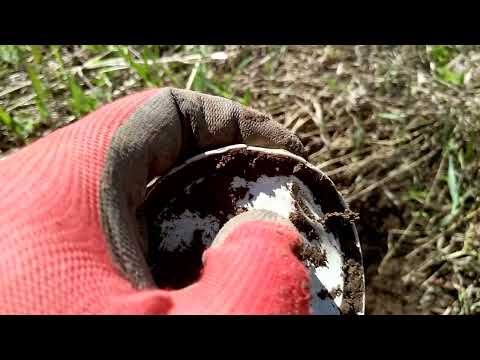 Видео: Майский выход на коп.