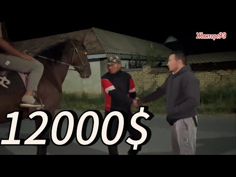 Видео: Оскондун Оспуруму 12000$ сатылды27 сентября 2025 г.