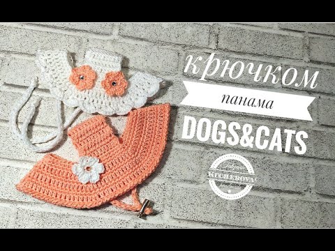 Видео: Панама для собак и кошек, вязание крючком