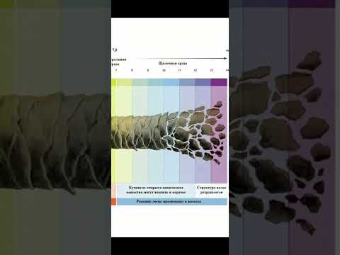 Видео: Теория щелочности. Что это такое🤔?