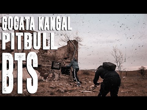 Видео: ЗАД КАДЪР НА GOCATA - ПИТБУЛ (BTS)