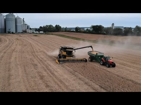 Видео: Самое впечатляющее видео о сборе сои на YouTube, шутка