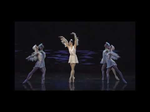 Видео: Шурале - Птицы. Thais Diógenes