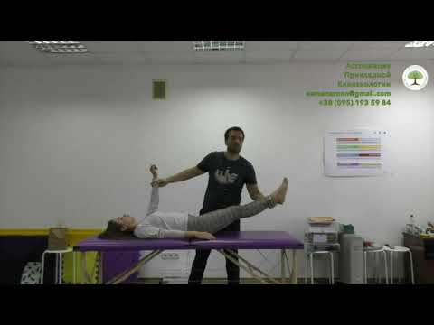 Видео: Приводящая мускулатура и состояние диафрагм всего тела. Андрей Косиков. Кинезиология