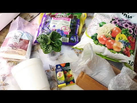 Видео: Товары для растений 🌿 Артикулы 🔢12 ноября 2025