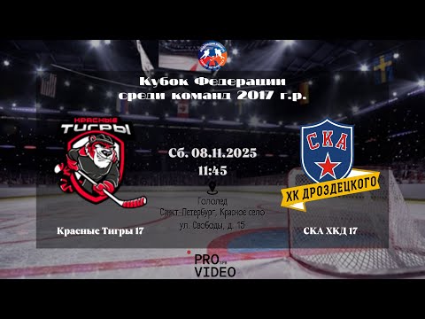 Видео: ХК "Красные Тигры" 17 - ХК "СКА ХКД" 17 | 08.11.2025