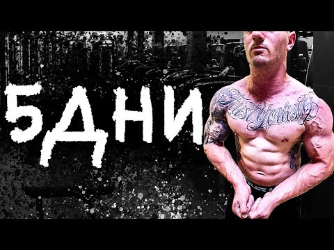 Видео: 5 Дневна Тренировъчна програма/ НЕ Е ЗА ВСЕКИ!