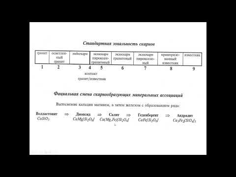 Видео: Еремин Н. И. - Геология полезных ископаемых - 14. Скарновые месторождения