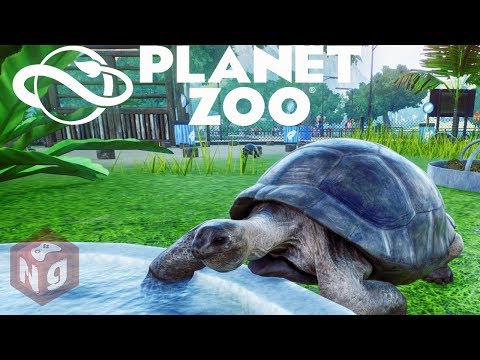 Видео: Planet Zoo - Гигантские черепахи! #2