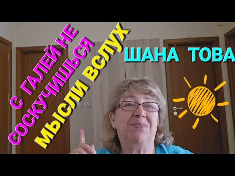 Видео: С ГАЛЕЙ НЕ СОСКУЧИШЬСЯ! Эфир Об ИЗРАИЛЕ!