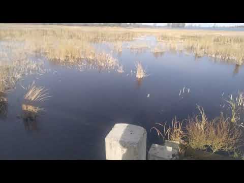 Видео: Озёра Алтая. Озеро Горькое. Алтайский край. Новичихинский район.