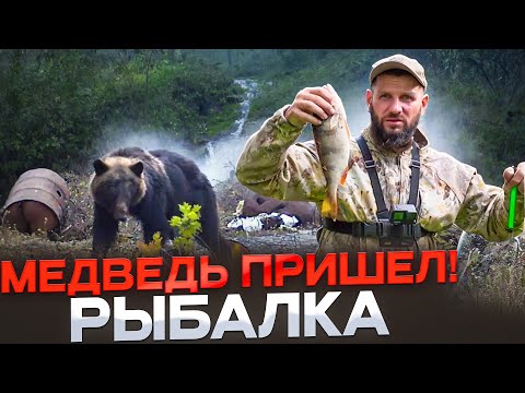 Видео: МЕДВЕДЬ ПРИШЕЛ.   КОРМЛЮ КАБАНОВ.  ПОДГОТОВКА к ОСЕНИ.  РЫБАЛКА.