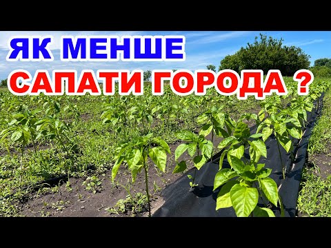 Видео: Боремось з бур'янами без сапи . Чорне агроволокно для мульчування