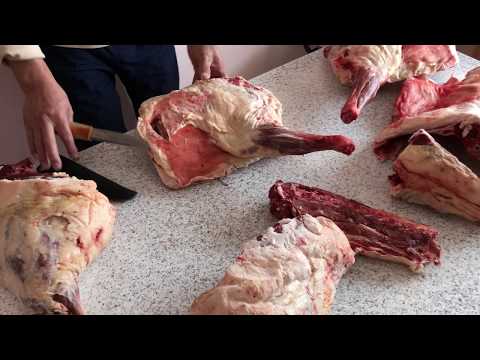 Видео: Свадебный обряд калмыков. Рассказывает Леонид Борлыкович Манджиев