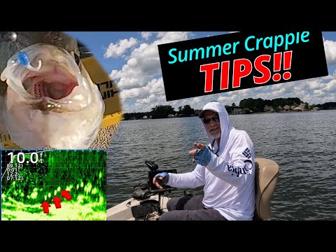 Видео: СОВЕТЫ на конец лета!! LiveScope CRAPPIE!!