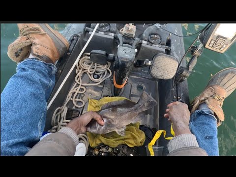 Видео: Рыбалка на чёрного тунца (таутог) и пиршество на парковке, где можно приготовить то, что поймали