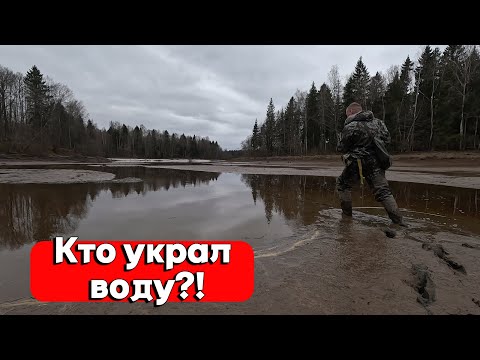 Видео: ВОДА УШЛА И РЫБА СОШЛА С УМА! БЕШЕННЫЙ КЛЁВ ПЛОТВЫ НА DAYO NANO ATARASHI!