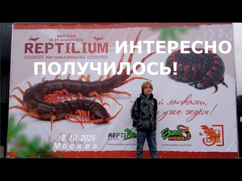 Видео: РЕПТИЛИУМ 18.10.2025 ИНТЕРЕСНО ПОЛУЧИЛОСЬ!