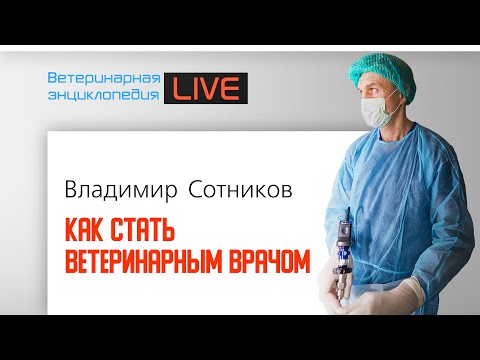 Видео: Как стать ветеринарным врачом