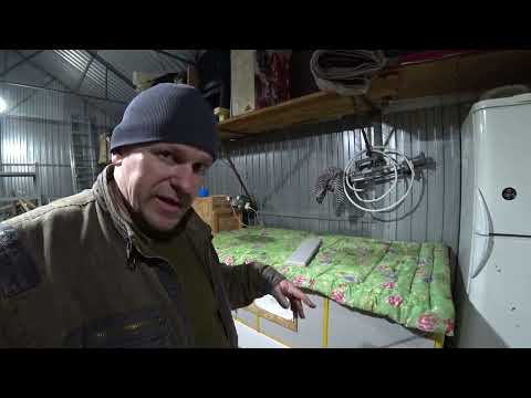 Видео: Деревенские будни / Переношу птицу и наводим порядки