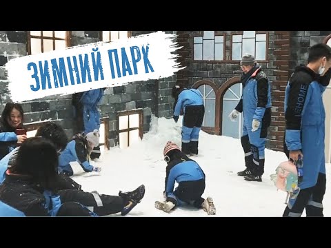 Видео: Зимний парк в Гуанчжоу.