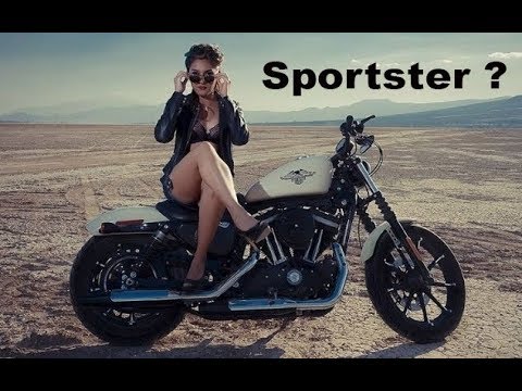 Видео: Спортстер? ( Сообщество Sportster Squad и Harley Davidson xl1200)