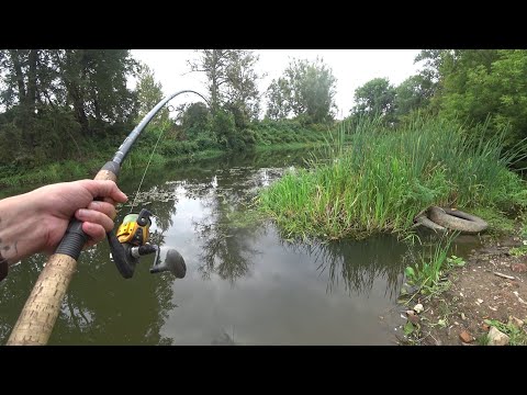 Видео: Крупная Щука!Ловля щуки на живца в сентябре...
