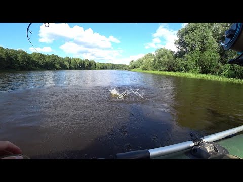 Видео: РЫБАЛКА НА СПИННИНГ В ИЮНЕ С ЛОДКИ. СУДАК, ОКУНЬ.