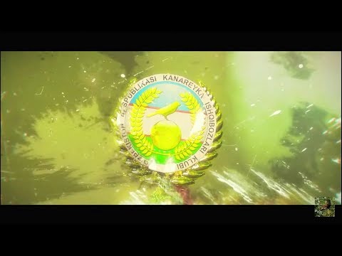 Видео: Тошкент канарейкалар танлови - Конкурс канареек: 17.11.19. [часть 2]