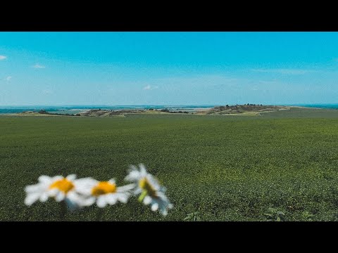 Видео: ЛАМПОВОЕ ЛЕТО - ЭПИЗОД 3