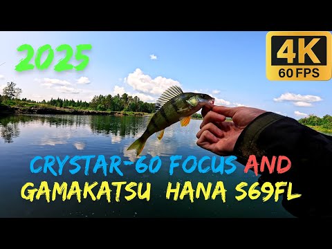 Видео: Микроджиг на окуня с  Clear Blue Crystar-60 Focus и Gamakatsu LUXXE Yoihime Hana S69FL