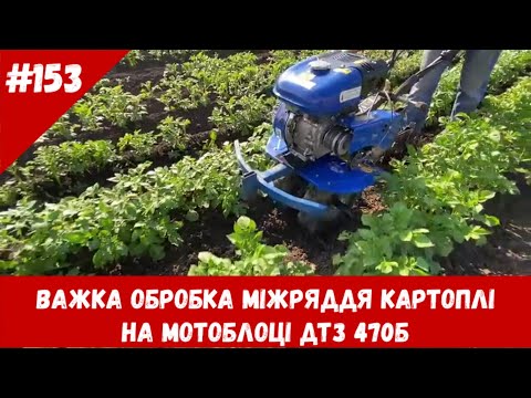 Видео: Важка обробка міжряддя картоплі на мотоблоці ДТЗ 470Б