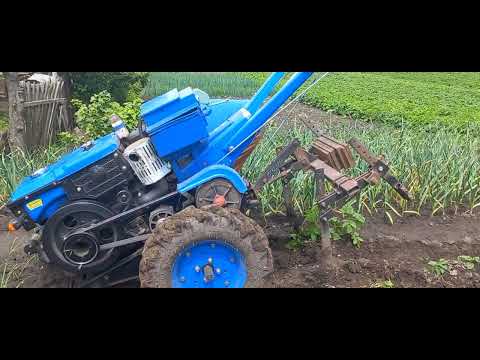 Видео: Підгортаня картоплі. Як не залишитися без врожаю