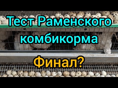 Видео: Вес перепелов в 45 дней. Тест.