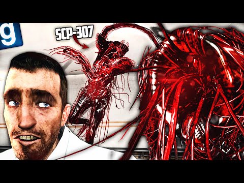 Видео: ЭТО РАСТЕНИЕ ЖРЁТ ЛЮДЕЙ! НОВЫЙ SCP - SCP-307 ПЛОТОЯДНЫЙ ПЛЮЩ в GMOD SCP RP