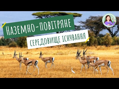 Видео: Наземно-повітряне середовище існування