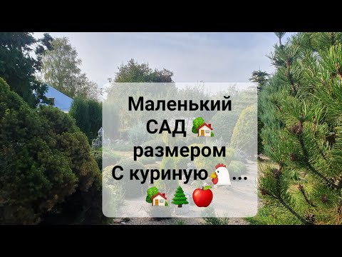 Видео: Маленький сад🏡