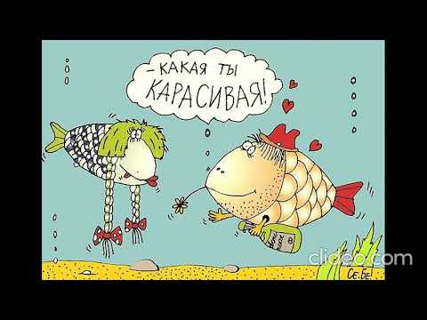 Видео: Рыба – Михаил Щербаков