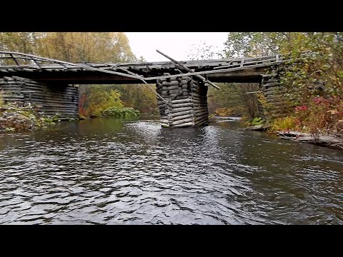 Видео: Рыбалка в Хабаровском крае. Река Кривая Кенжа. Хариус, ленок. 24.09.2021 г.