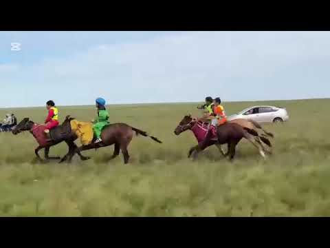 Видео: Ногооны овоо 2025