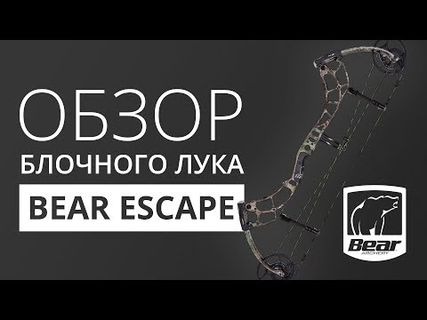 Видео: Обзор блочного лука Bear Escape