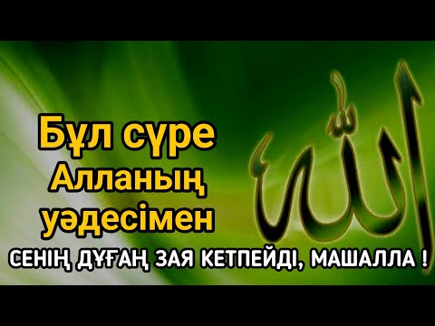 Видео: 💖Бұл сүре — Алланың уәдесімен : Сенің дұғаң зая кетпейді, Машалла.!