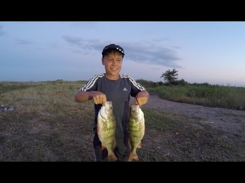 Видео: рыбалка на Весёловском водохранилище (Три весёлых дня! Фильм ТРЕТИЙ. Ловля окуня и судака )