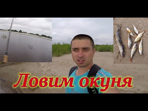 Видео: Ловля окуня на вертушку за 60 р. и резину с AliExpress...