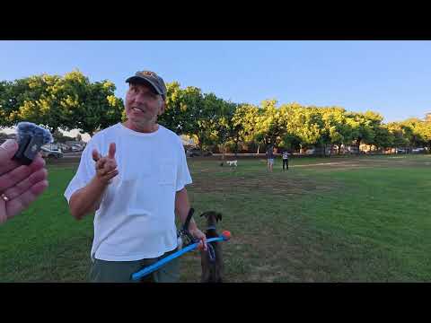 Видео: Что пошло не так в нашем королевстве?