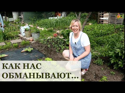 Видео: Нас обманывают в супермаркетах! / Руккола или двурядник?