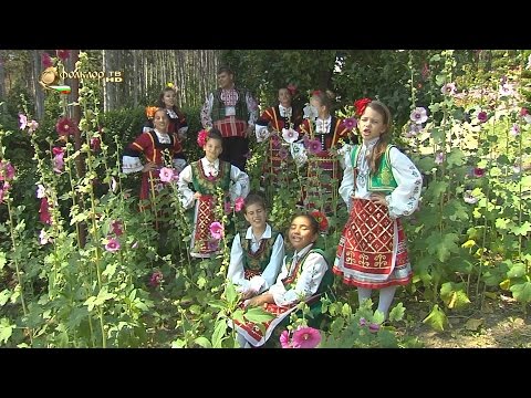 Видео: ДВГ ''Щастливци'' - Стоян мама дума