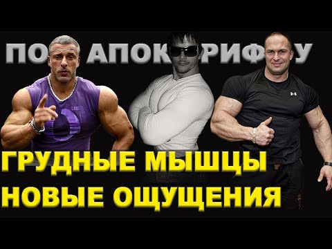 Видео: Апокриф научит Линдовера и Федорова жать штангу лежа