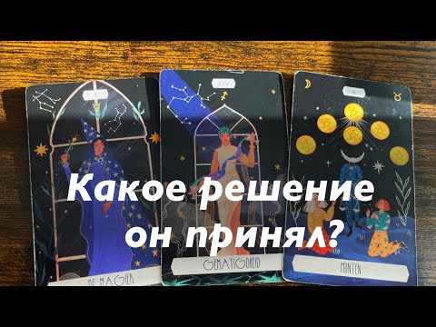 Видео: 10 ноября 2025 г.