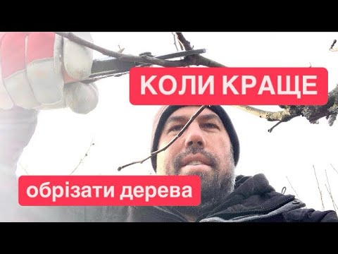 Видео: КОЛИ краще ОБРІЗАТИ дерева